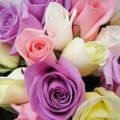 Profile picture arletteejackson.bsky.social