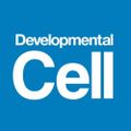Profile picture cp-devcell.bsky.social