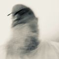 Profile picture dougcraver.bsky.social