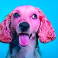 Profile picture warty.ingroup.social