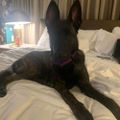 Profile picture northerngirl65.bsky.social