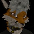 Profile picture mattvolpin.bsky.social