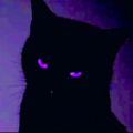 Profile picture fadedcurations.bsky.social