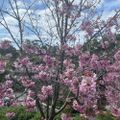Profile picture justcarole.bsky.social