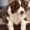 Profile picture rouxtheday.bsky.social