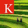 Profile picture kings-sga.bsky.social