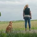 Profile picture marlene65.bsky.social