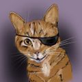 Profile picture jackpanda.bsky.social