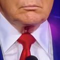 Profile picture yahtzeepropaganda.bsky.social
