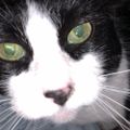 Profile picture calliesperson.bsky.social