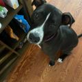 Profile picture jennthepit.bsky.social