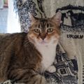 Profile picture catcmdr1.bsky.social
