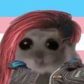 Profile picture nodessdotmp4.bsky.social