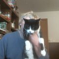 Profile picture xander6464.bsky.social