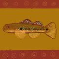 Profile picture gobiusculus.bsky.social