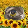 Profile picture cogswell.bsky.social
