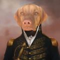 Profile picture ramblingfools.bsky.social