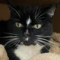 Profile picture poppy-poo.bsky.social