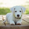 Profile picture kevinphillip.bsky.social