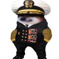 Profile picture robjennson.bsky.social