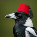 Profile picture blueutah.bsky.social