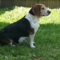 Profile picture sandihamilton.bsky.social