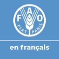 Profile picture faoenfrancais.bsky.social