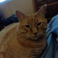 Profile picture juluka58.bsky.social