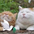Profile picture adempd58.bsky.social