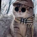 Profile picture bluewavesurfer.bsky.social