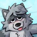 Profile picture raccsnacc.bsky.social