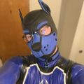 Profile picture puptitus.bsky.social