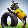 Profile picture nemneri.bsky.social