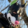 Profile picture cumdump.dog