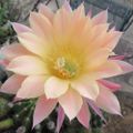 Profile picture katewarne.bsky.social