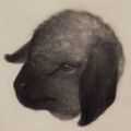 Profile picture deadthicket.bsky.social