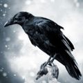 Profile picture branthegr8.bsky.social