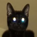 Profile picture deanwk.bsky.social