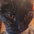 Profile picture tabithajohn76.bsky.social