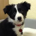 Profile picture chloepatti1.bsky.social