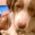 Profile picture spr371970.bsky.social