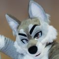 Profile picture softandfurry.bsky.social