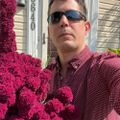 Profile picture botaniphile.bsky.social