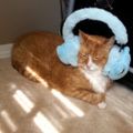 Profile picture froznshade.bsky.social