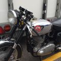 Profile picture goldstar571.bsky.social