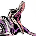 Profile picture twarda.bsky.social