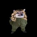 Profile picture bernice449.bsky.social