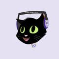 Profile picture codingcat.dev