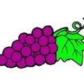 Profile picture isadorafernandapg.bsky.social