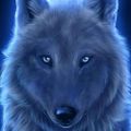 Profile picture cjwolf141.bsky.social